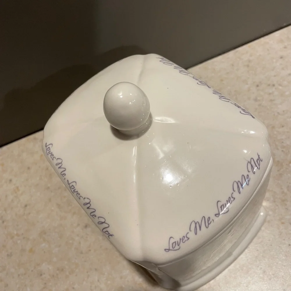 Tea Caddy Biscuit Box Jar Porcelain with Tea Bag Strainer Holder Shabby Chic